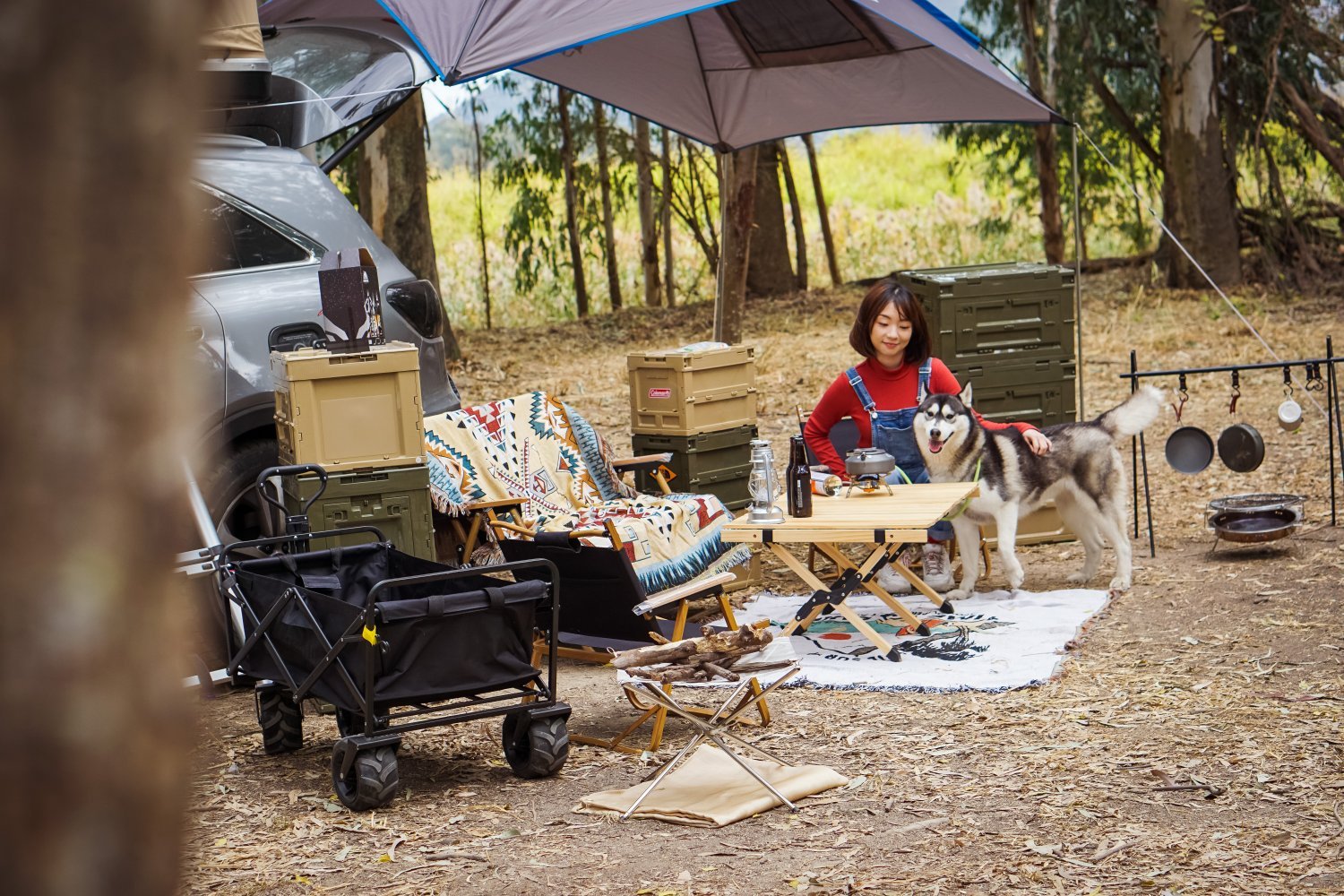 Car Roof Camping Experience - One Day Experience